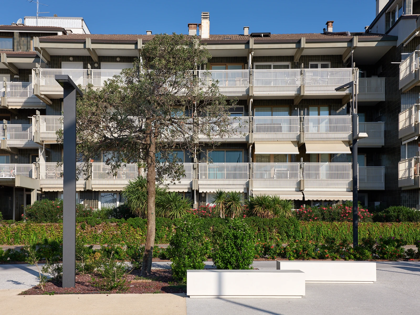 Lignano