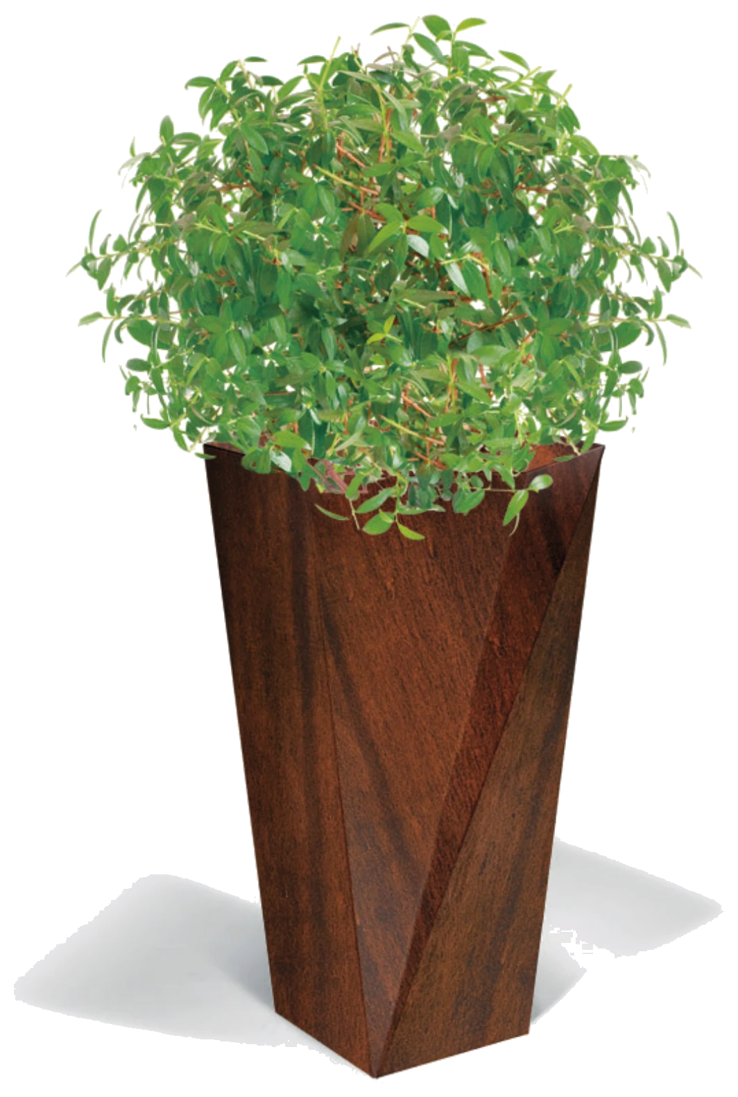 Five Tall
