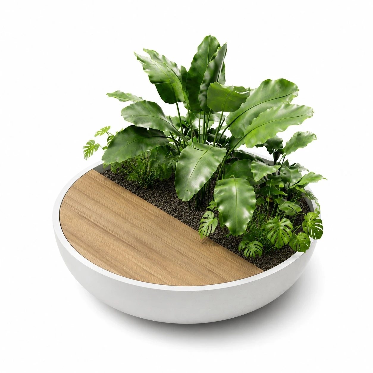 Fifty Planter