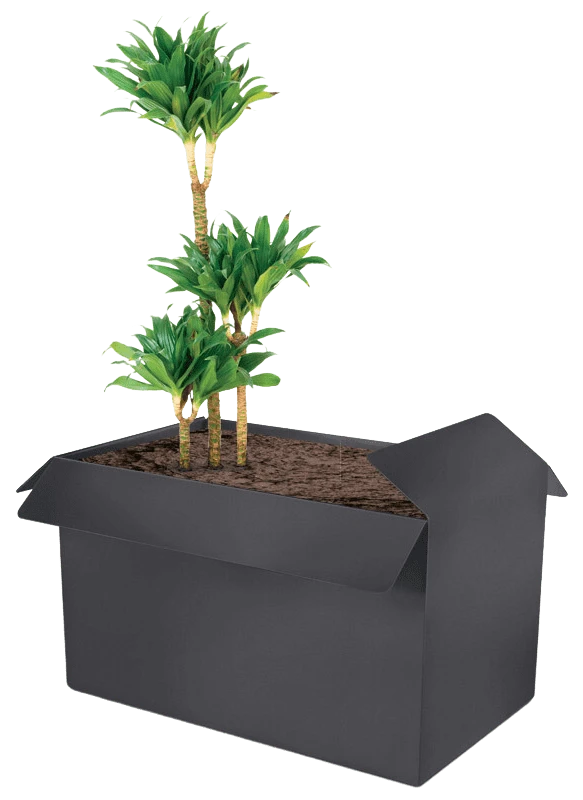 Box Planter Big